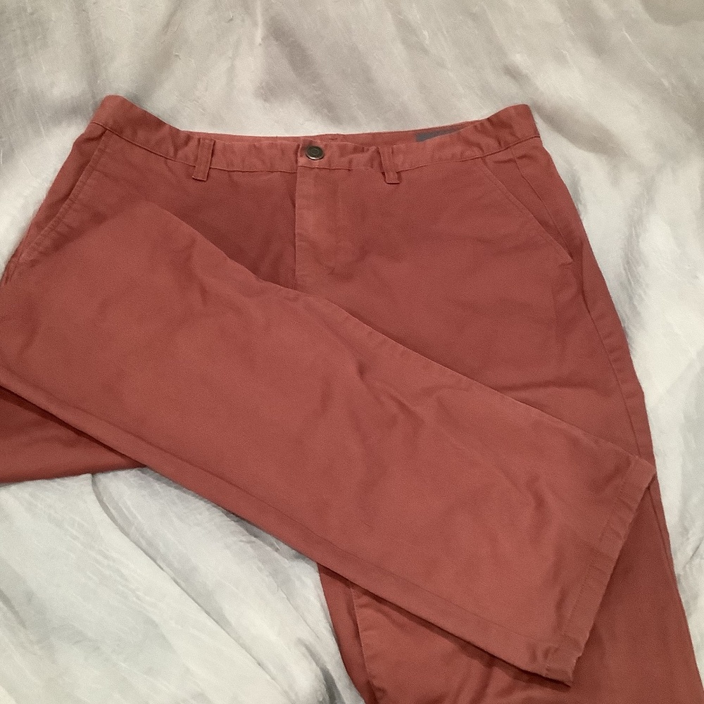 Bonobos 34/34
